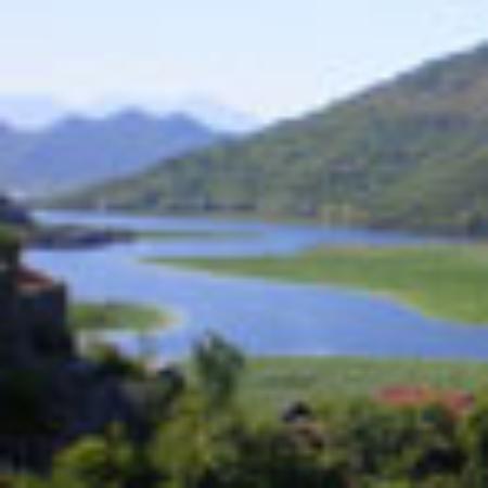 Wendy's Senayan City